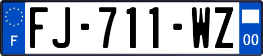 FJ-711-WZ