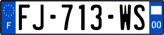 FJ-713-WS