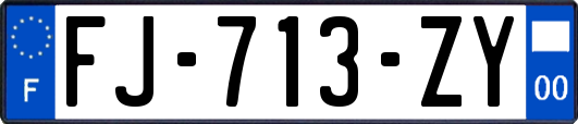 FJ-713-ZY