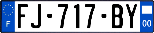 FJ-717-BY