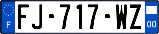 FJ-717-WZ