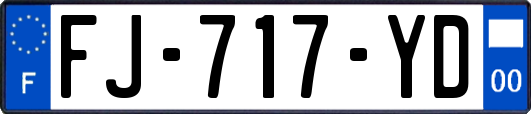 FJ-717-YD