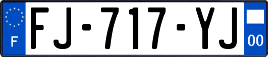 FJ-717-YJ