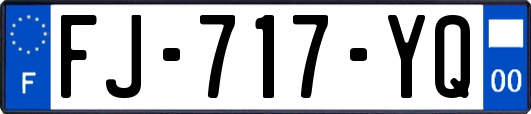 FJ-717-YQ