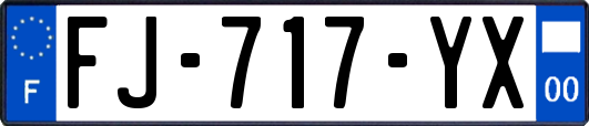 FJ-717-YX