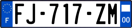 FJ-717-ZM