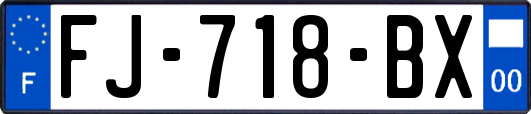 FJ-718-BX