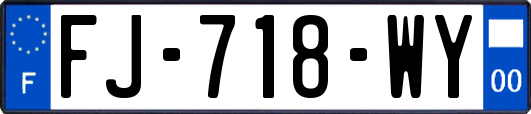 FJ-718-WY