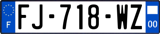 FJ-718-WZ