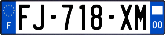 FJ-718-XM
