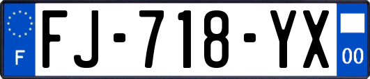FJ-718-YX