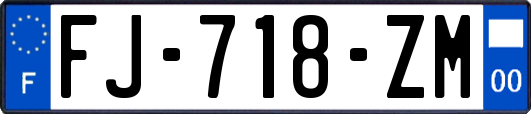 FJ-718-ZM