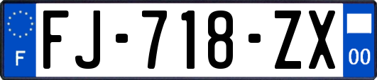 FJ-718-ZX