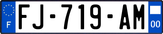 FJ-719-AM