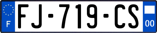 FJ-719-CS