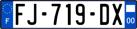 FJ-719-DX