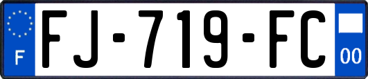 FJ-719-FC