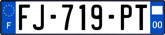 FJ-719-PT