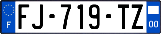 FJ-719-TZ