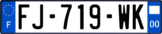 FJ-719-WK