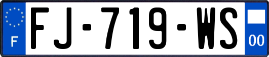 FJ-719-WS