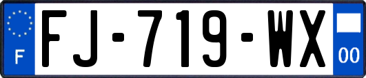 FJ-719-WX