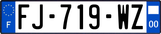 FJ-719-WZ