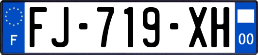 FJ-719-XH