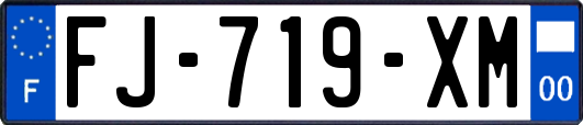 FJ-719-XM