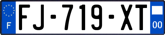 FJ-719-XT