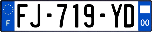 FJ-719-YD