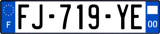 FJ-719-YE