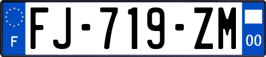 FJ-719-ZM