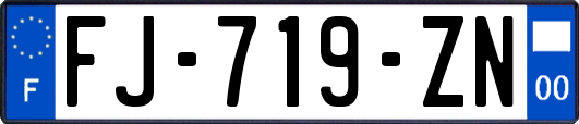 FJ-719-ZN