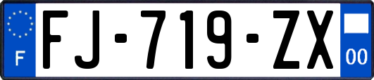 FJ-719-ZX