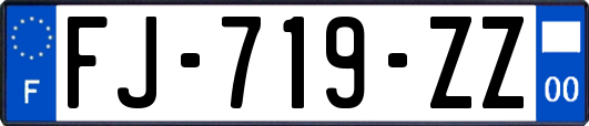 FJ-719-ZZ