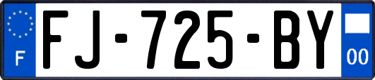 FJ-725-BY