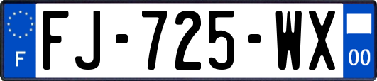 FJ-725-WX