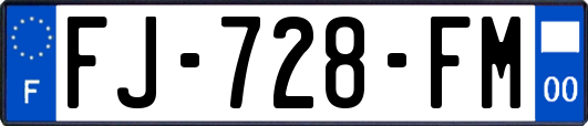 FJ-728-FM