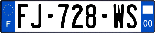 FJ-728-WS