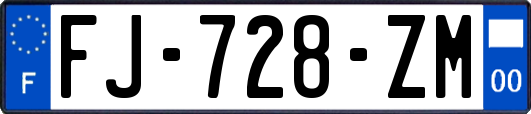 FJ-728-ZM