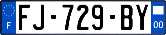 FJ-729-BY