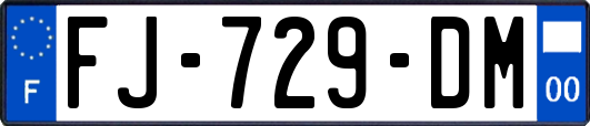 FJ-729-DM