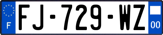 FJ-729-WZ