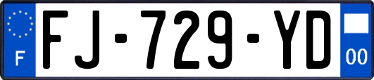 FJ-729-YD
