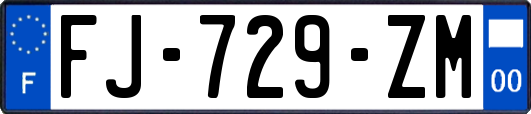 FJ-729-ZM