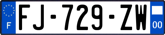 FJ-729-ZW