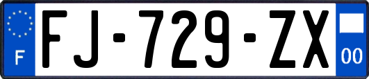 FJ-729-ZX