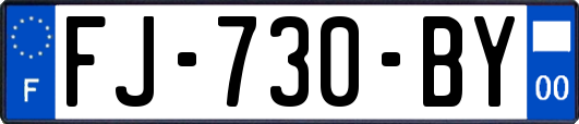 FJ-730-BY