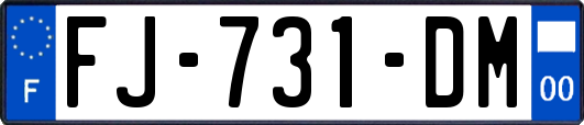 FJ-731-DM